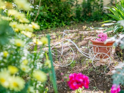 Apartment Studio flat with terrace and sea view Supetar, Brač AS-22123-a - Outdoor photo 11