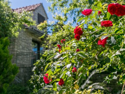 Apartment Studio flat with terrace and sea view Supetar, Brač AS-22123-a - Outdoor photo 12