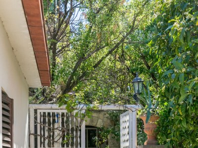 Apartment Studio flat with terrace and sea view Supetar, Brač AS-22123-a - Outdoor photo 13