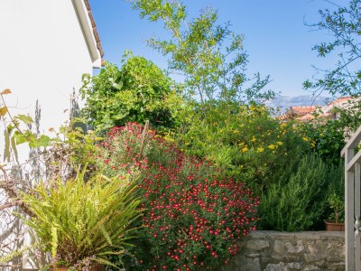 Apartment Studio flat with terrace and sea view Supetar, Brač AS-22123-a - Outdoor photo 15