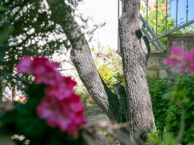 Apartment Studio flat with terrace and sea view Supetar, Brač AS-22123-a - Outdoor photo 16