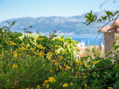 Apartment Studio flat with terrace and sea view Supetar, Brač AS-22123-a - Outdoor photo 17