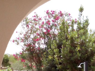 Apartment One bedroom apartment with terrace Privlaka, Zadar A-24002-b - Outdoor photo 2