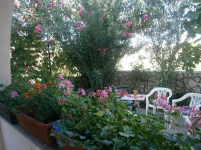 Apartment One bedroom apartment with terrace Privlaka, Zadar A-24002-b - Outdoor photo 11