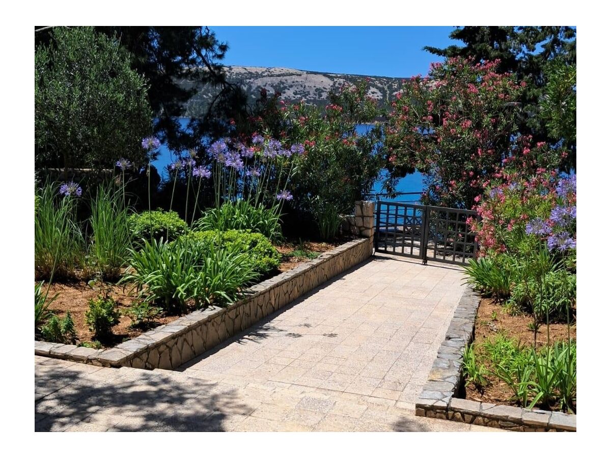 Apartment Two bedroom apartment near beach Stara Novalja, Pag A-24010-a - Outdoor photo 3