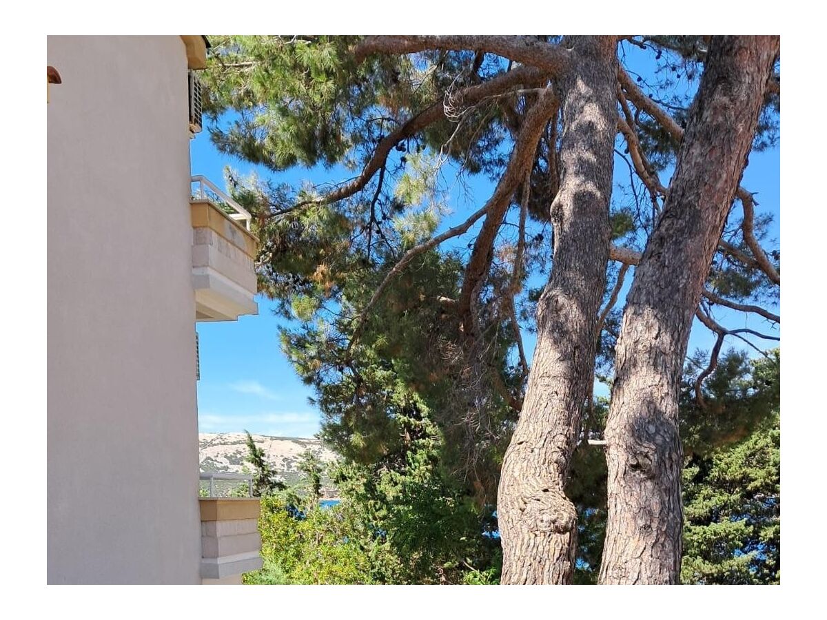 Apartment Two bedroom apartment near beach Stara Novalja, Pag A-24010-a - Outdoor photo 5