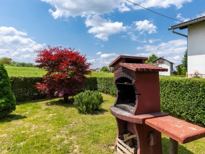 Apartment Two bedroom apartment with terrace Karlovac A-20989-b - Outdoor photo 11