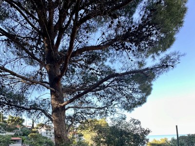 Apartment One bedroom apartment near beach Basina, Hvar A-24120-a - Outdoor photo 4