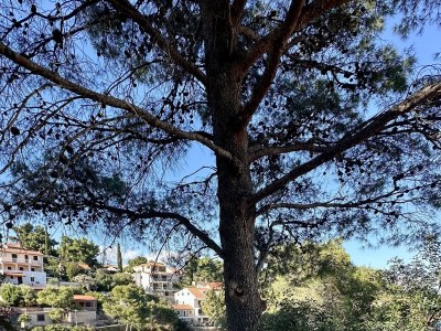 Apartment One bedroom apartment near beach Basina, Hvar A-24120-b - Outdoor photo 7