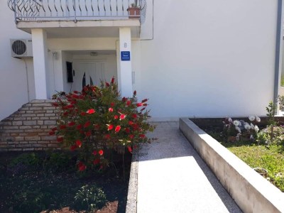 Apartment One bedroom apartment with balcony and sea view Mastrinka, Čiovo A-23959-b - Outdoor photo 10