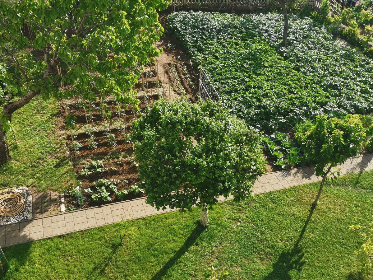 Apartment One bedroom apartment with balcony Lopar, Rab A-24156-a - Outdoor photo 2