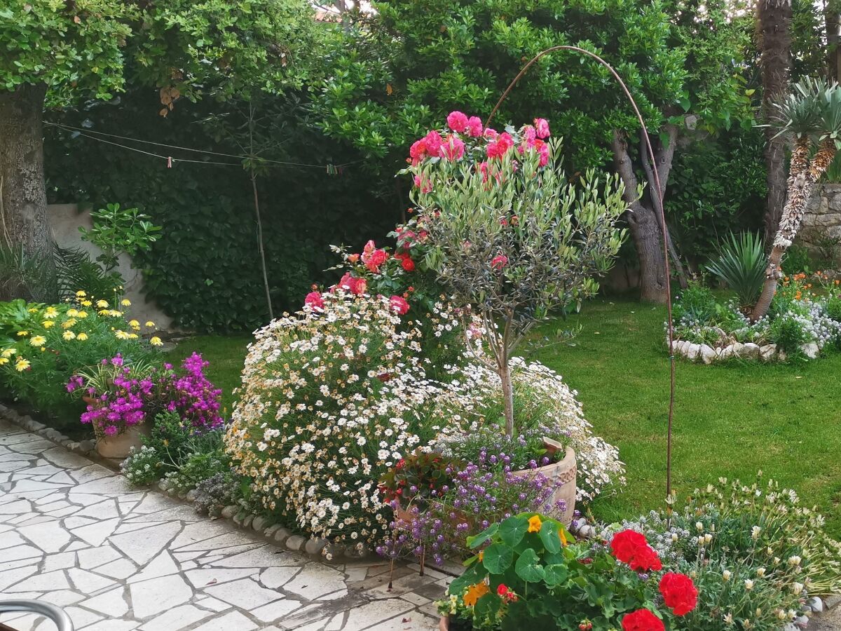 Apartment One bedroom apartment with balcony Lopar, Rab A-24156-a - Outdoor photo 3