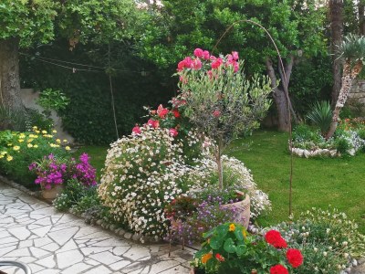 Apartment One bedroom apartment with balcony Lopar, Rab A-24156-a - Outdoor photo 3