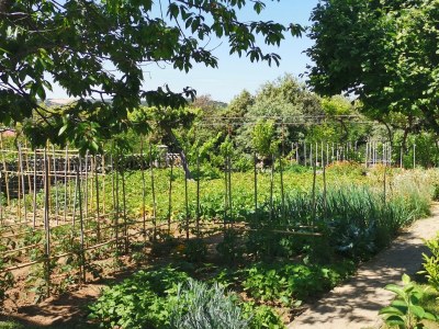 Apartment One bedroom apartment with balcony Lopar, Rab A-24156-a - Outdoor photo 6