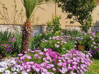 Apartment One bedroom apartment with balcony Lopar, Rab A-24156-a - Outdoor photo 8