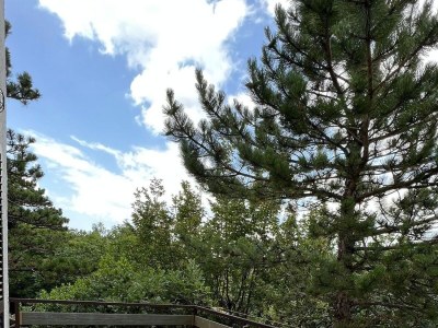 Apartment One bedroom apartment with terrace Jadranovo, Crikvenica A-24210-a - Outdoor photo 15