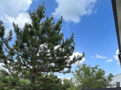 Apartment One bedroom apartment with terrace Jadranovo, Crikvenica A-24210-a - Outdoor photo 16