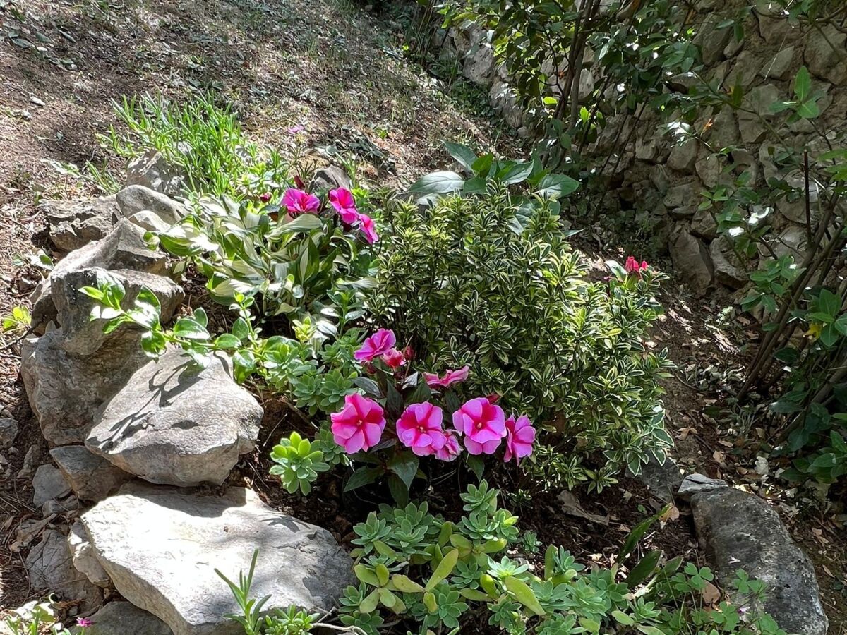 Apartment One bedroom apartment with terrace Jadranovo, Crikvenica A-24210-b - Outdoor photo 4