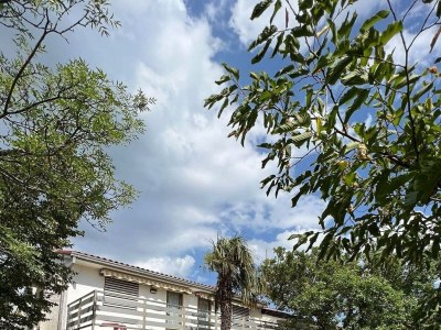 Apartment One bedroom apartment with terrace Jadranovo, Crikvenica A-24210-b - Outdoor photo 5