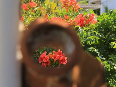 Apartment Two bedroom apartment with terrace Vinišće, Trogir A-24197-a - Outdoor photo 17