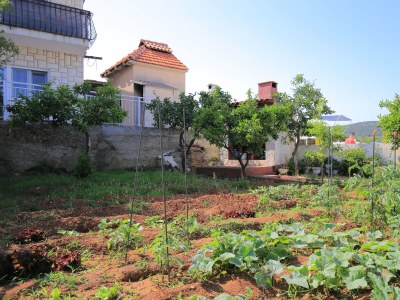 Apartment Two bedroom apartment with balcony and sea view Vinišće, Trogir A-24197-c - Outdoor photo 12