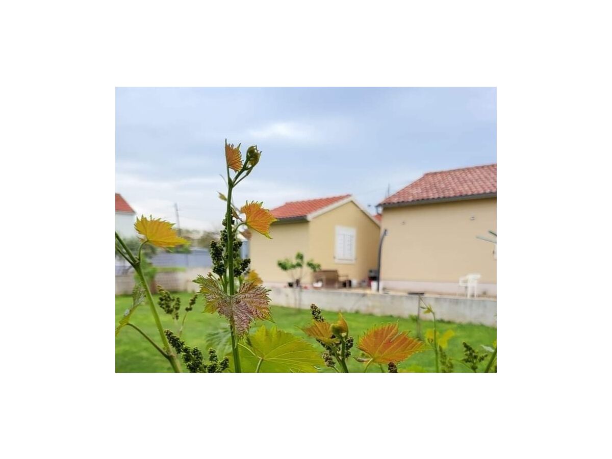 Apartment One bedroom apartment with balcony Nin, Zadar A-24288-a - Outdoor photo 4