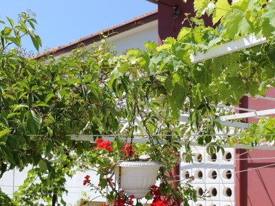 Apartment Two bedroom apartment with terrace and sea view Vinišće, Trogir A-10241-b - Outdoor photo 18