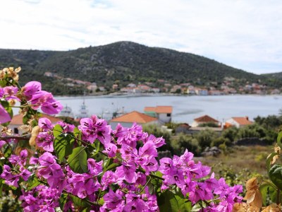 Apartment Two bedroom apartment with terrace and sea view Vinišće, Trogir A-10241-b - Outdoor photo 39