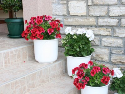 Apartment One bedroom apartment near beach Vodice A-4198-b - Outdoor photo 12