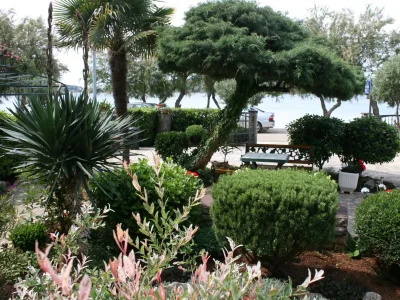 Apartment Two bedroom apartment near beach Vodice A-4198-d - Outdoor photo 11