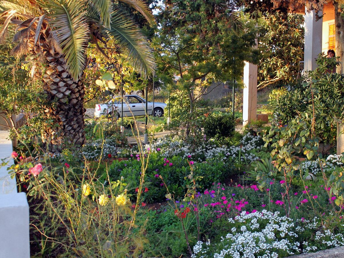 Apartment One bedroom apartment near beach Zadar - Diklo, Zadar A-5925-b - Outdoor photo 5