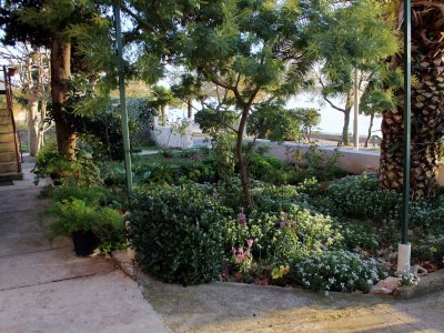 Apartment One bedroom apartment near beach Zadar - Diklo, Zadar A-5925-b - Outdoor photo 4