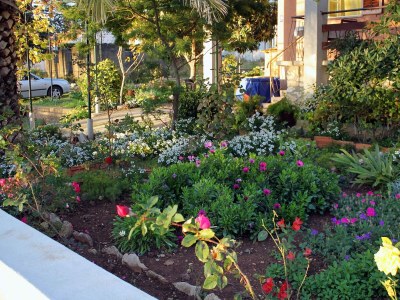 Apartment One bedroom apartment near beach Zadar - Diklo, Zadar A-5925-b - Outdoor photo 6