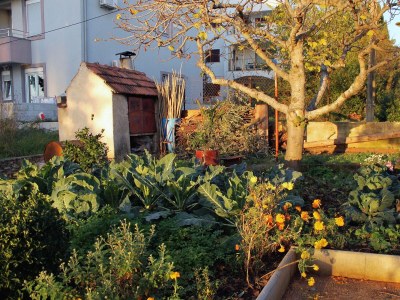 Apartment One bedroom apartment near beach Zadar - Diklo, Zadar A-5925-b - Outdoor photo 7