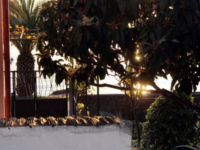 Apartment One bedroom apartment near beach Zadar - Diklo, Zadar A-5925-b - Outdoor photo 22