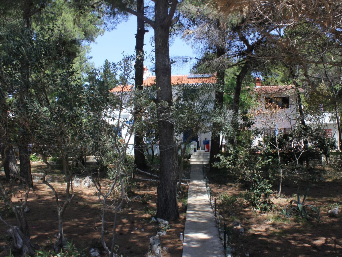 Apartment Two bedroom apartment near beach Artatore, Lošinj A-7935-a - Outdoor photo 3