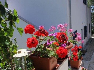 Apartment Two bedroom apartment near beach Artatore, Lošinj A-7935-a - Outdoor photo 7