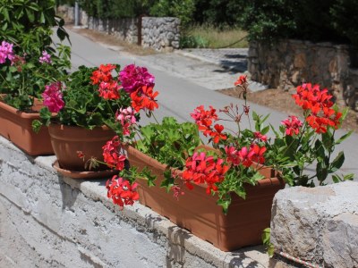 Apartment One bedroom apartment near beach Artatore, Lošinj A-7935-b - Outdoor photo 9
