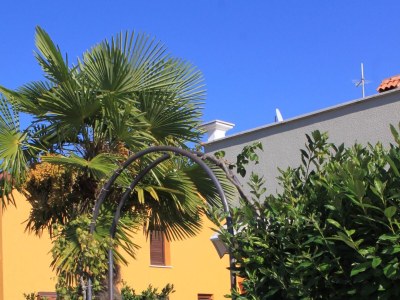 Apartment Studio flat with terrace and sea view Fažana AS-7205-a - Outdoor photo 4