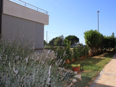 Apartment Studio flat with terrace and sea view Fažana AS-7205-a - Outdoor photo 7