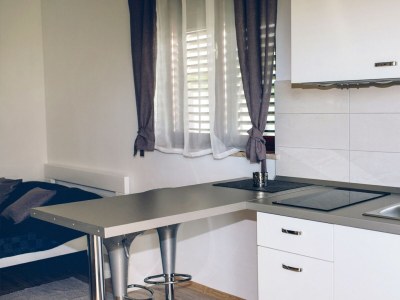 Apartment Studio flat with terrace and sea view Fažana AS-7205-a - Outdoor photo 10