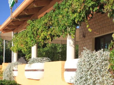 Apartment One bedroom apartment with terrace and sea view Kukljica, Ugljan A-8478-b - Outdoor photo 7