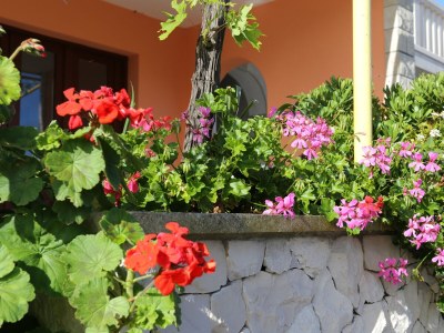 Apartment Two bedroom apartment near beach Tri Žala, Korčula A-4432-a - Outdoor photo 7