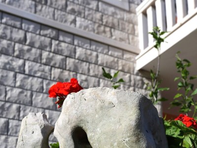 Apartment Three bedroom apartment near beach Tri Žala, Korčula A-4432-b - Outdoor photo 4