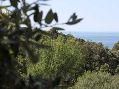 Apartment Two bedroom apartment with terrace and sea view Suha Punta, Rab A-5050-a - Outdoor photo 28