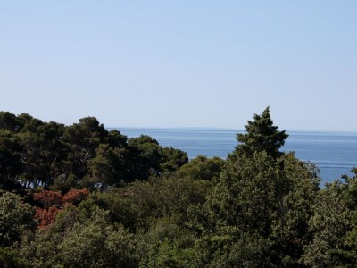 Apartment Two bedroom apartment with terrace and sea view Suha Punta, Rab A-5050-b - Outdoor photo 20