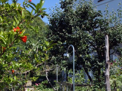 Apartment Two bedroom apartment with terrace Suha Punta, Rab A-5050-c - Outdoor photo 8