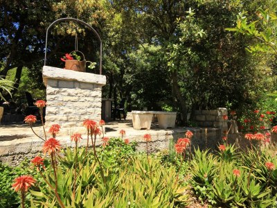 Apartment Four-bedroom apartment near beach Prižba, Korčula A-10061-b - Outdoor photo 9