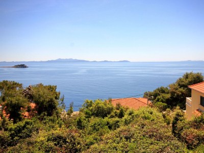 Apartment Four-bedroom apartment near beach Prižba, Korčula A-10061-b - Outdoor photo 31