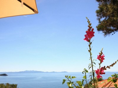 Apartment Four-bedroom apartment near beach Prižba, Korčula A-10061-b - Outdoor photo 32